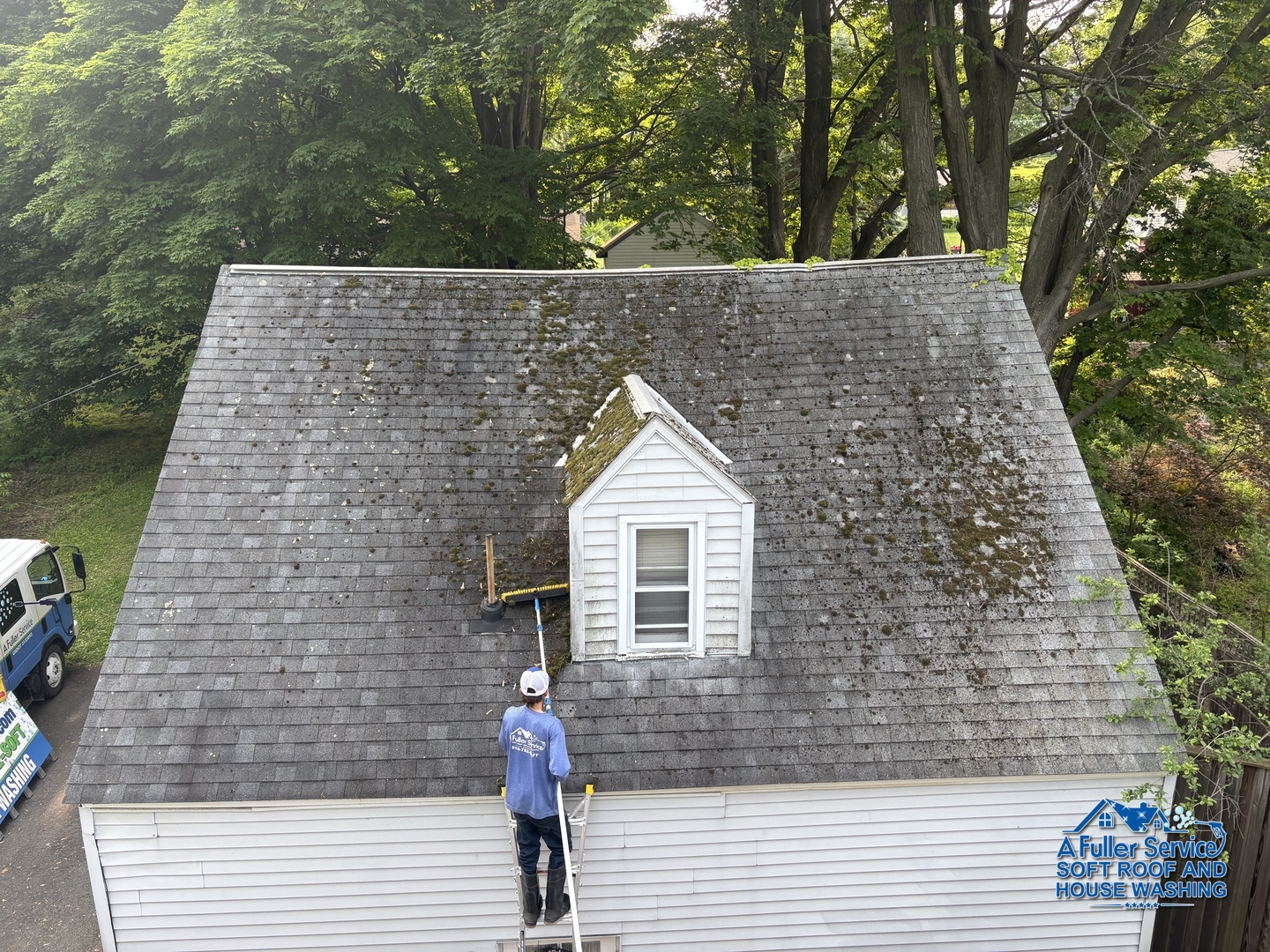 Soft Roof Washing in Albany, NY | Free Estimate